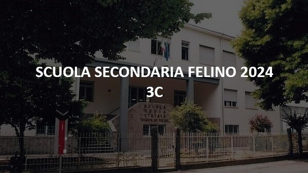 COVER 3C